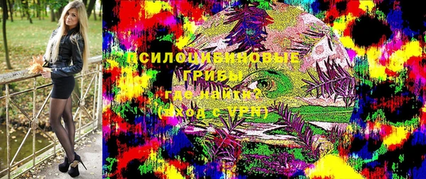 скорость Козловка