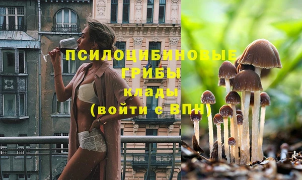 бутират Кинешма