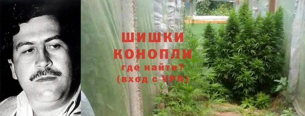 молекула духа Кодинск