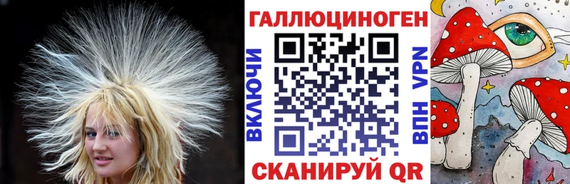 kraken рабочий сайт  наркота  Кораблино  Галлюциногенные грибы Psilocybe 